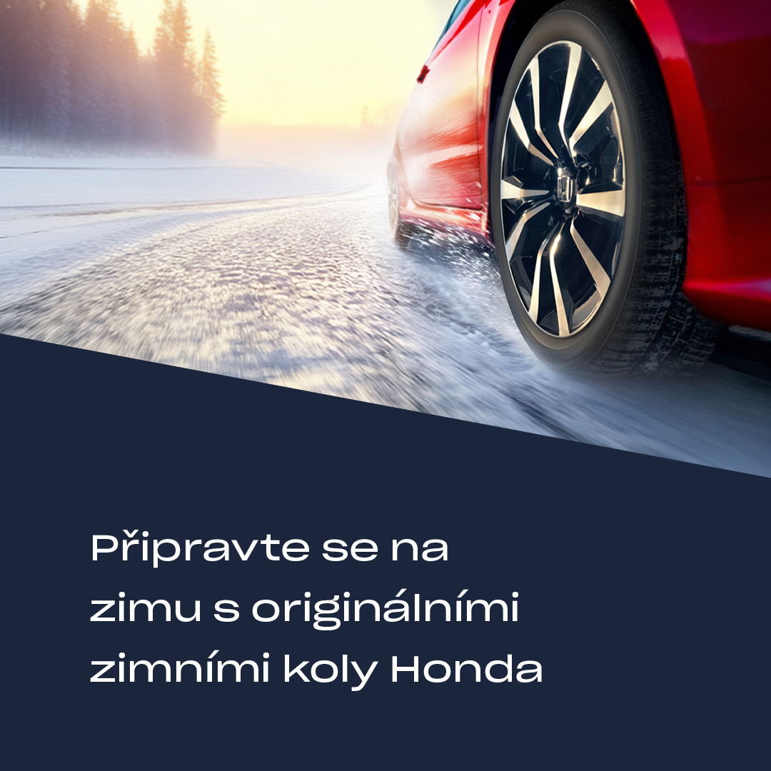 podzimní cesta